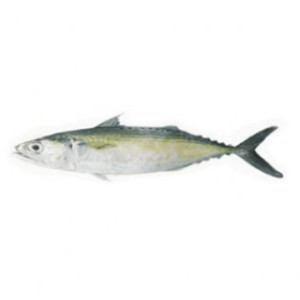 Surma Fish Small 1 Kg